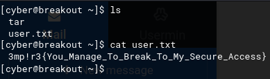 break user.txt.png
